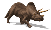 Носорог - изображение животного